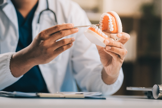 doctor showing a model denture to a patient in Centreville